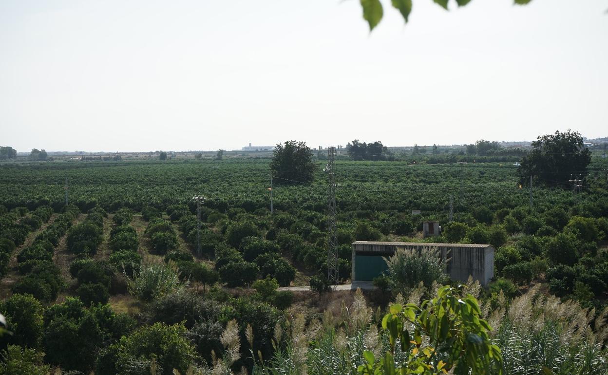 Terrenos de la vega de Mestanza, donde se prevé construir la EDAR Málaga Norte. 