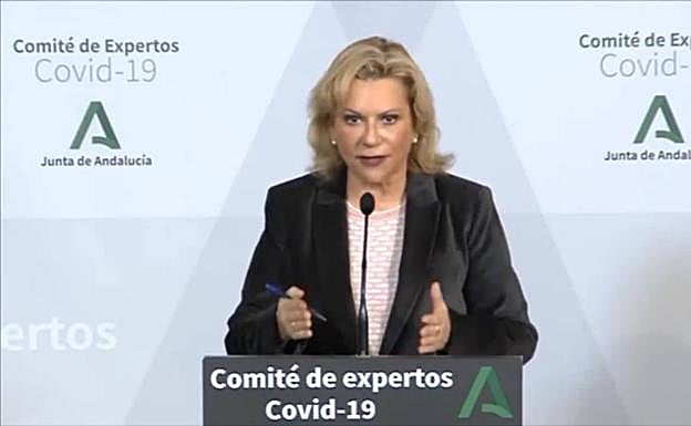 El comité de expertos de Andalucía no ve comprometida la capacidad sanitaria al haber «holgura» aún en los hospitales