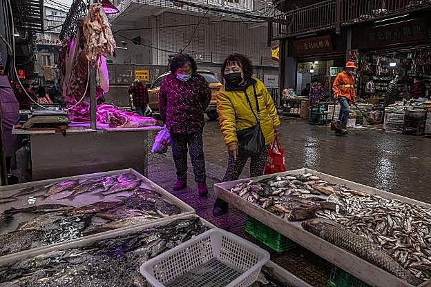 Empieza la misión de la OMS en Wuhan bajo la opacidad china