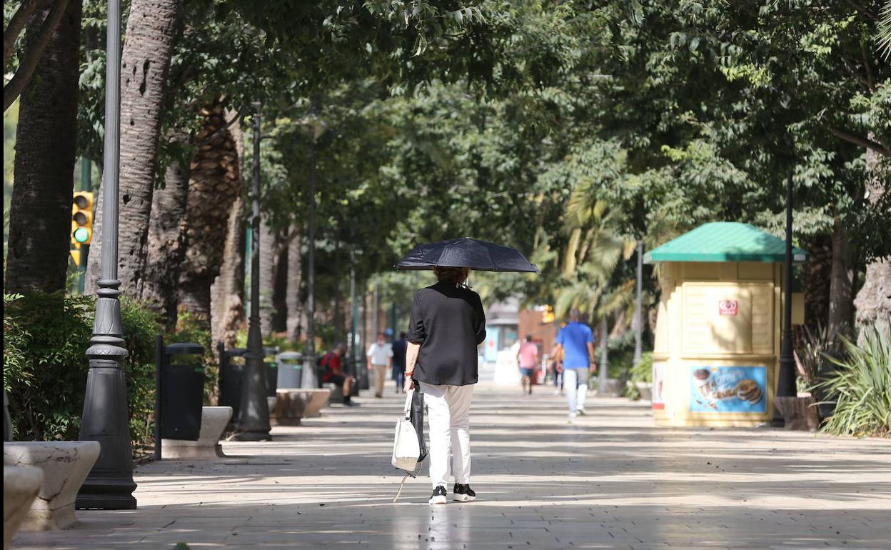 Málaga empezará el fin de semana con una primavera anticipada. 