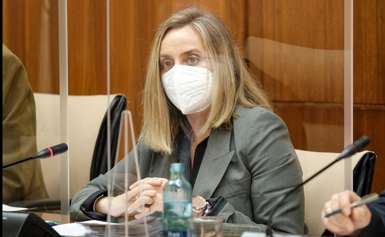 La consejera, Marifran Carazo, ayer en la comisión parlamentaria.