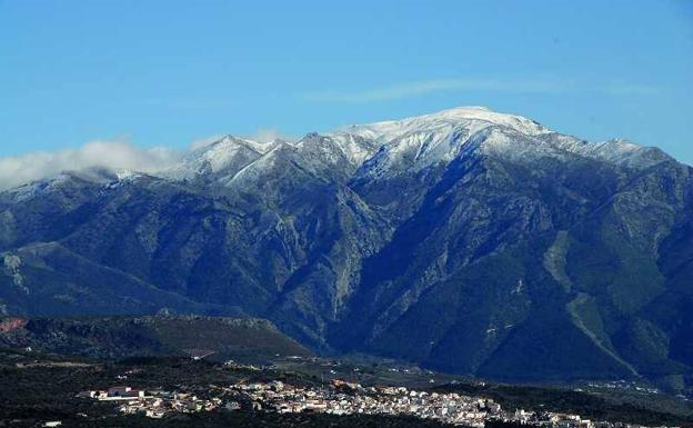 Casos confirmados, curados y fallecidos por COVID-19 en Periana