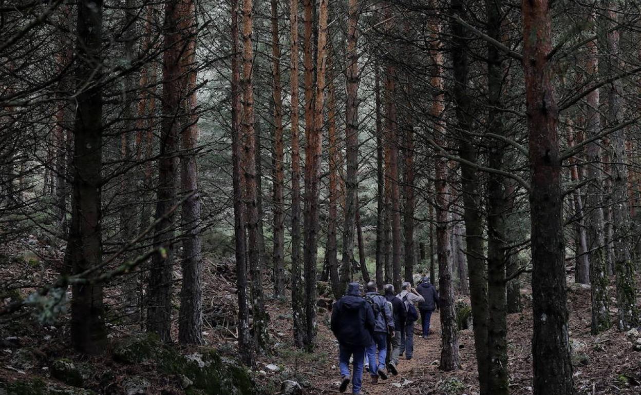 El futuro Parque Nacional Sierra de las Nieves supondrá un coste para la Junta de al menos 810.000 euros al año