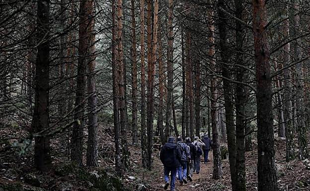 El futuro Parque Nacional Sierra de las Nieves supondrá un coste para la Junta de al menos 810.000 euros al año