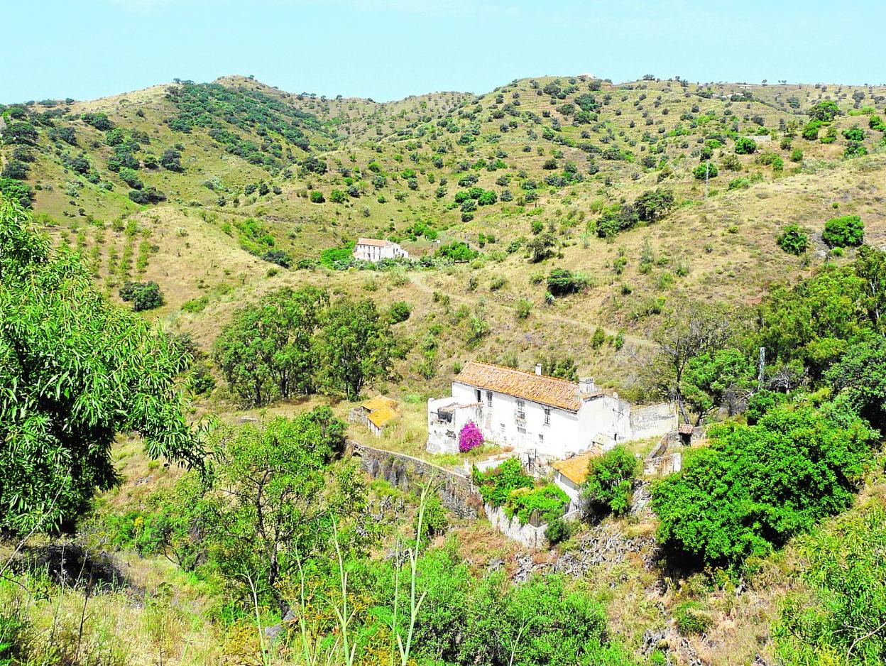 La primera de las fincas en las que ha empezado a actuar AMMA Almijara es Hacienda de Mellado, en Estación de Cártama. 