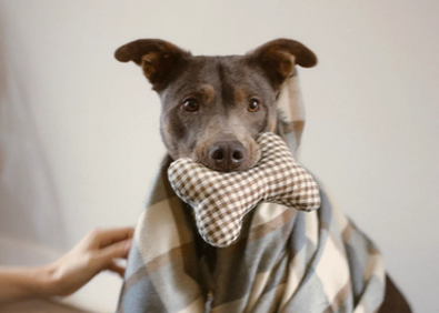 Imagen secundaria 1 - Algunos de los modelos de la colección.