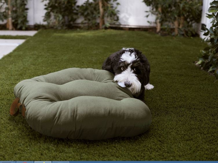 Fotos: La primera colección de Zara para perros, en imágenes