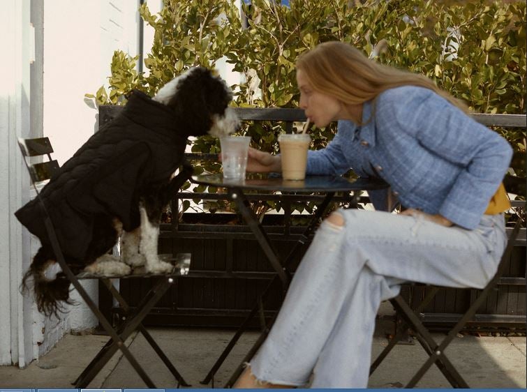 Fotos: La primera colección de Zara para perros, en imágenes