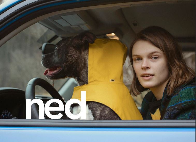 Fotos: La primera colección de Zara para perros, en imágenes