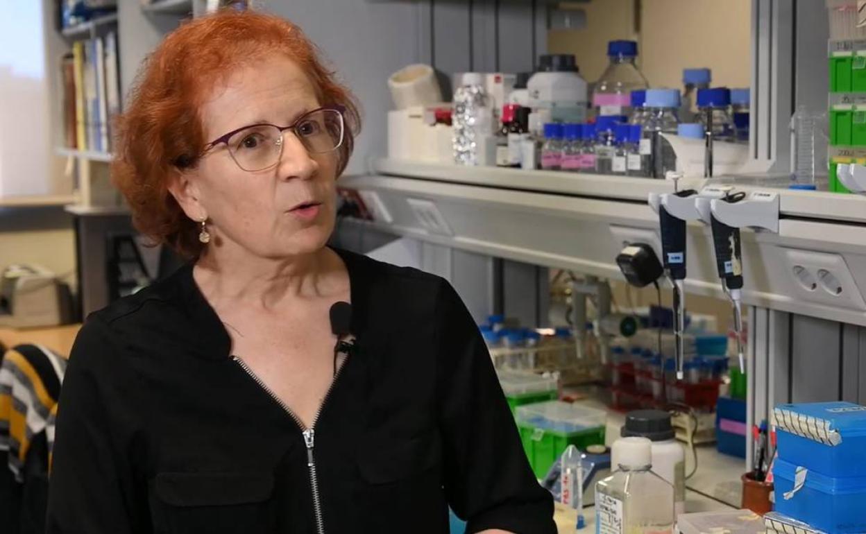 Margarita del Val detalla qué medidas tomar ante próximas pandemias