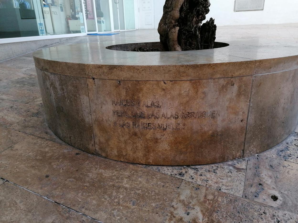 Raíces y alas