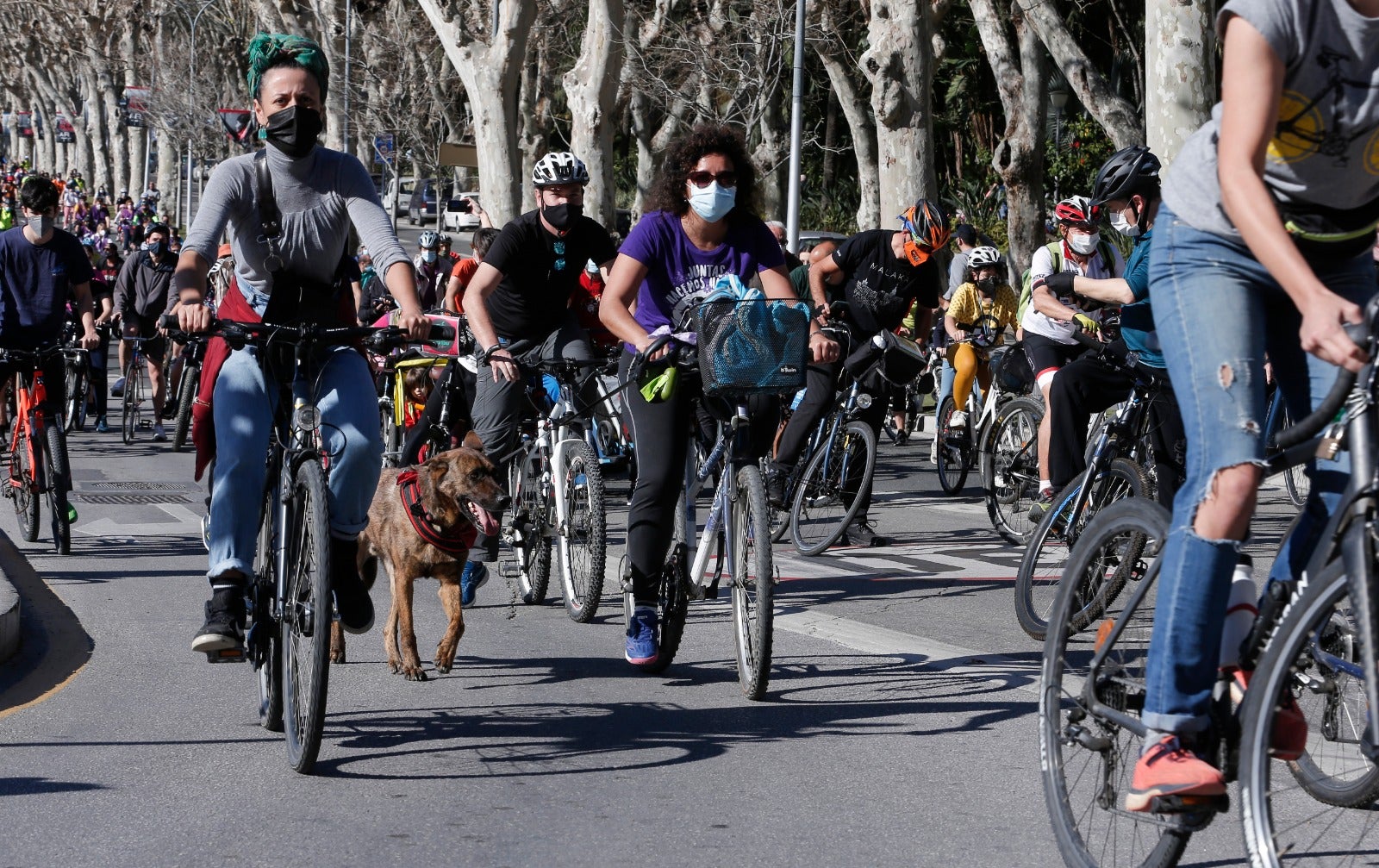 Más de un millar de ciclistas reclaman carriles bici segregados del tráfico durante una 'bicifestación' celebrada en la capital