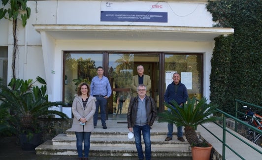 Sonia Osorio, Jesús Navas, Gonzalo Claros, Antonio Heredia e Iñaki Hormaza, en el acceso al edificio principal de investigación en Algarrobo. 