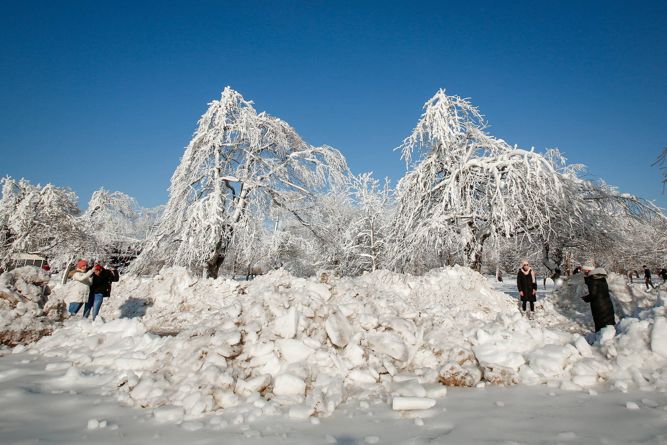 El frío extremo del invierno en América del Norte y Canadá nos brinda una estampa espectacular de las Cataratas del Niágara rodeadas de hielo y casi congeladas 