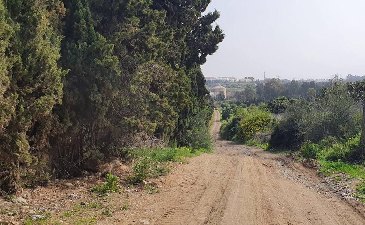 Vial que el PSOE propone adecuar en la zona de Guadalmansa. 