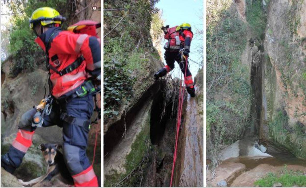 Imágenes del rescate del animal atrapado en al cascada.