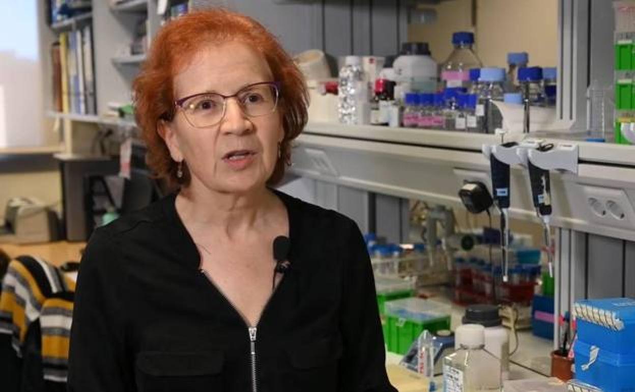 Coronavirus: Margarita del Val: «No estoy segura de que alcancemos la normalidad este año»