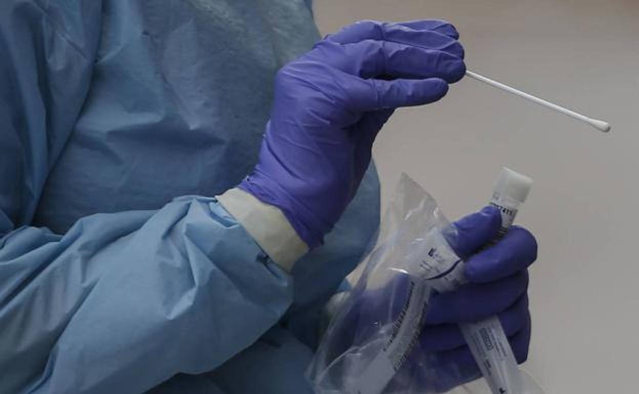 Un estudio revela que la precisión de una prueba PCR varía en función de la hora en que se haga