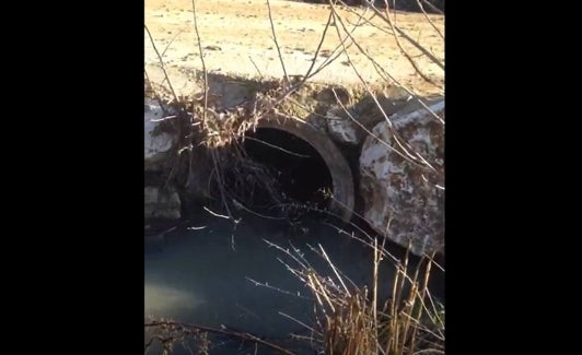 Agua procedente de la depuradora de Villanueva del Rosario. 