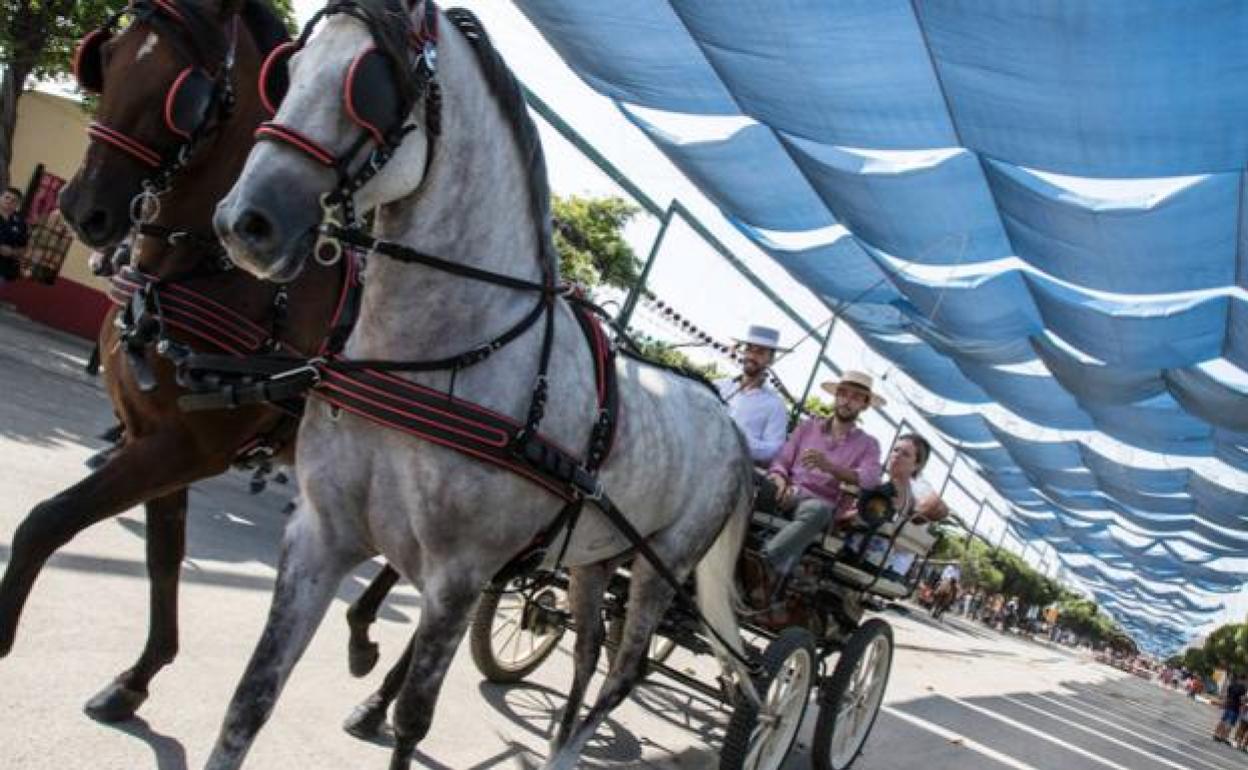 Imagen de archivo de caballistas en la Feria de Málaga. 