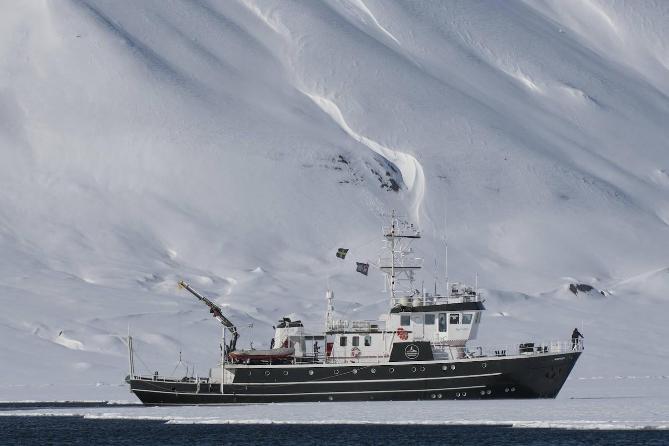 Fotos: Las impresionantes imágenes de naturaleza extrema en la isla de Svalbard