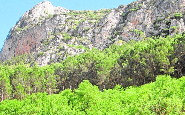 La Falla de la Sierra del Camorro está protegida como monumento natural de Andalucía.