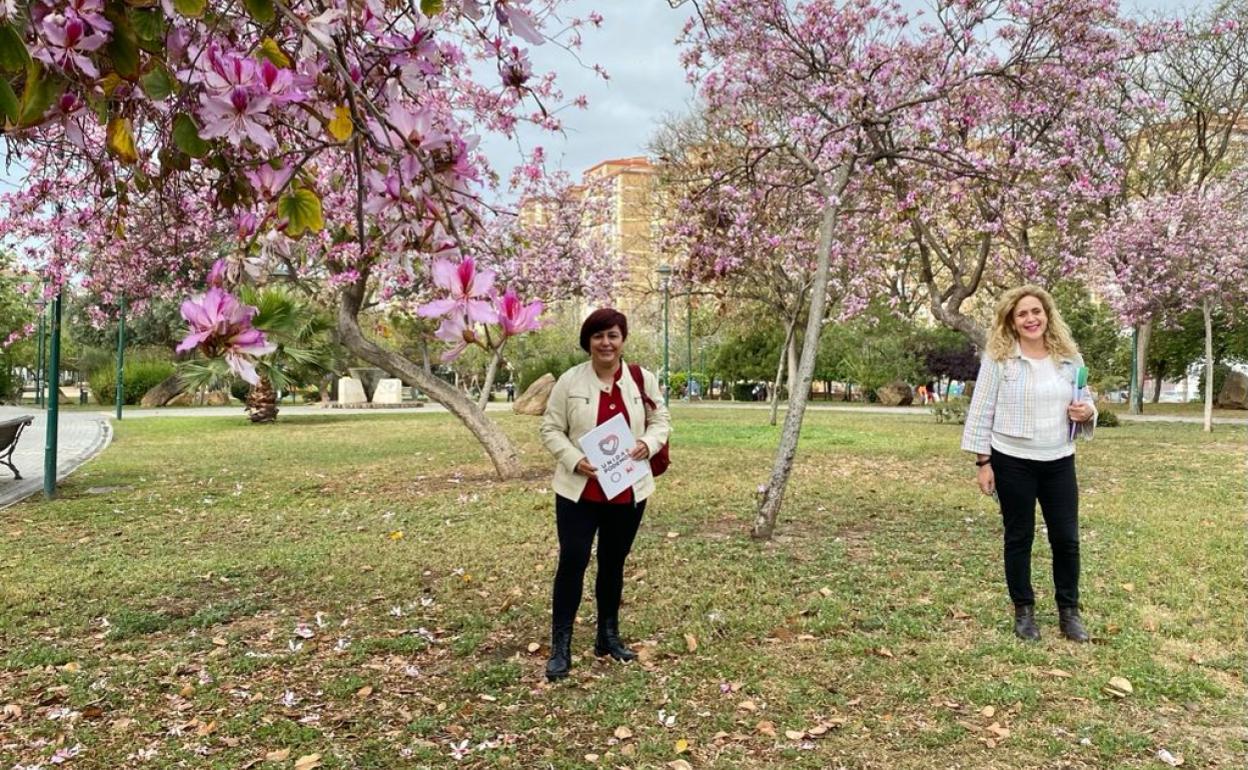 Macías y Ramos, bajo el árbol de las orquídeas, en el parque de Huelin, donde pondrían mesas y bancos.