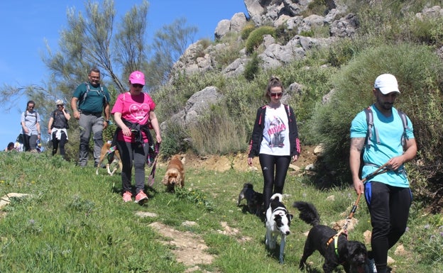 Un momento de la ruta celebrada ayer en Periana. 