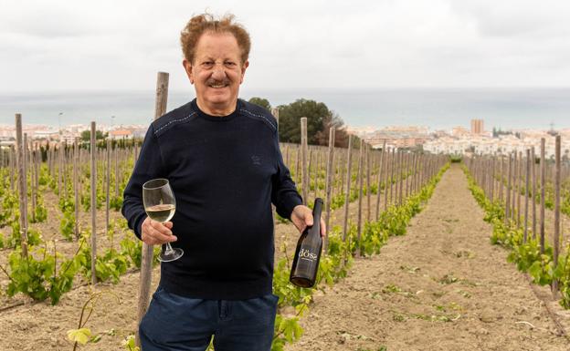 Bruno Filippone (arriba) elabora el primer vino andaluz con uva italiana vermentino ensamblada con viognier.