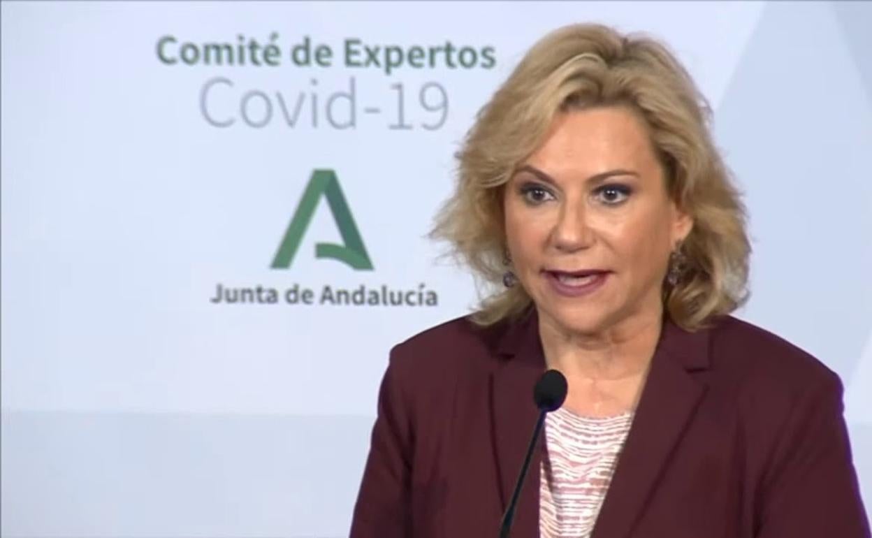 La advertencia del comité de expertos ante la apertura de la movilidad en Andalucía