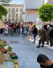 Imagen secundaria 2 - Tres imágenes de la protesta que ha tenido lugar este jueves junto al Ayuntamiento nerjeño. 