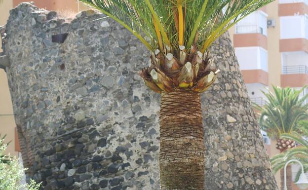 Esta torre inclinada también recibe otros nombres como la del Portichuelo o del Mar.