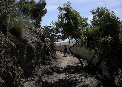 Imagen secundaria 1 - Un sendero forestal unirá el Cementerio Inglés con el Castillo de Gibralfaro