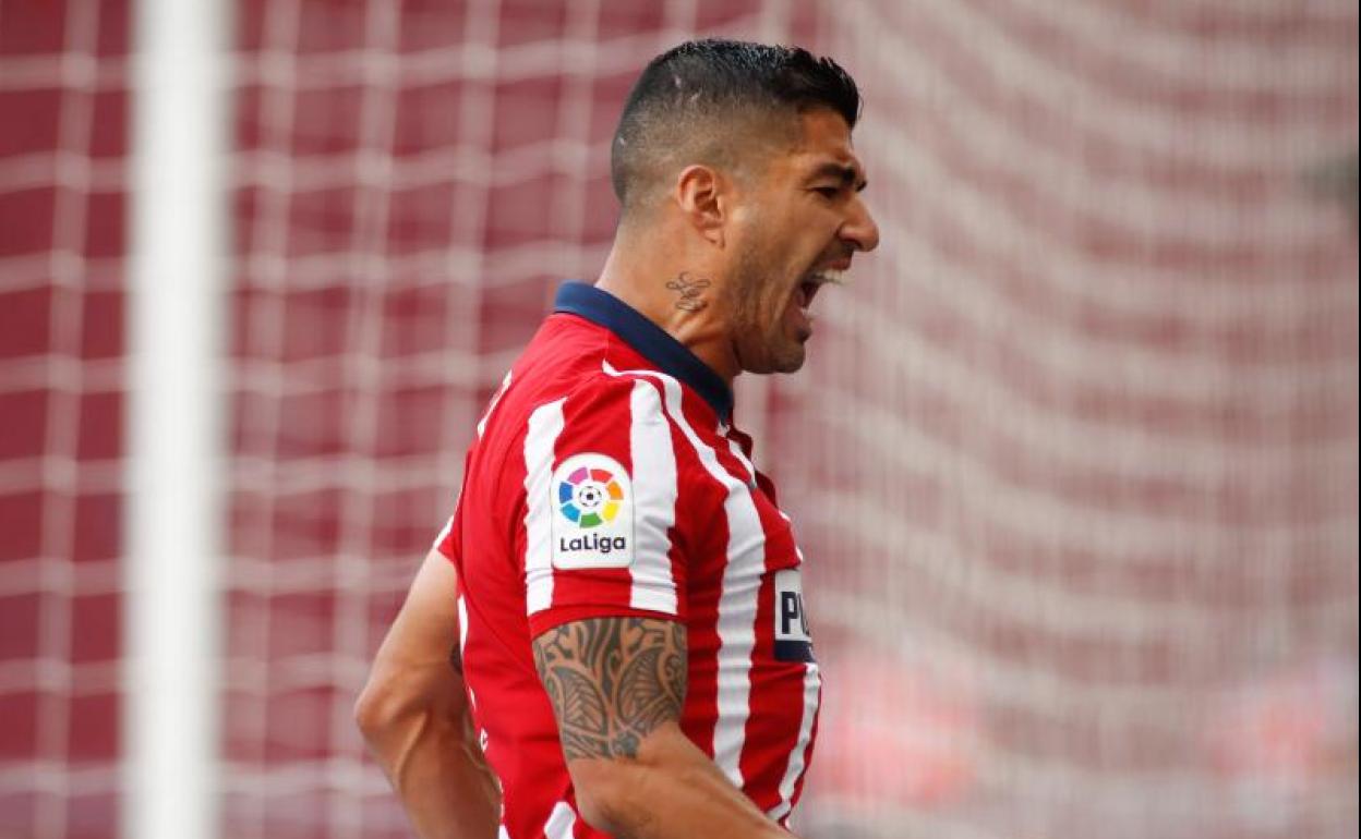 Luis Suárez celebra el gol ante Osasuna que puede valer una Liga para el Atlético. 