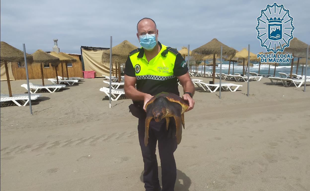 Uno de los policía que acudió al lugar sostiene al ejemplar rescatado. 