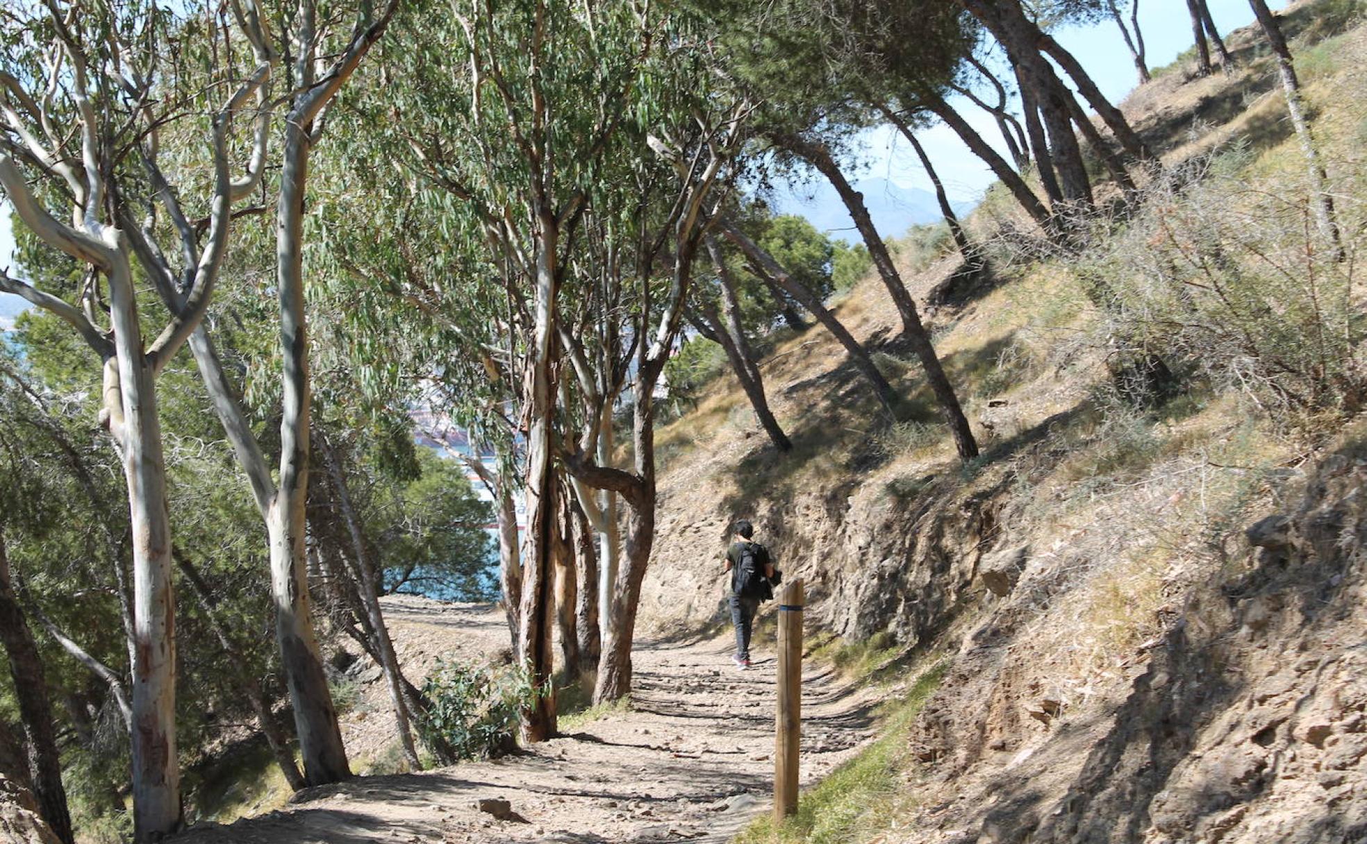 Senderos del Parque de Gibralfaro en Málaga.