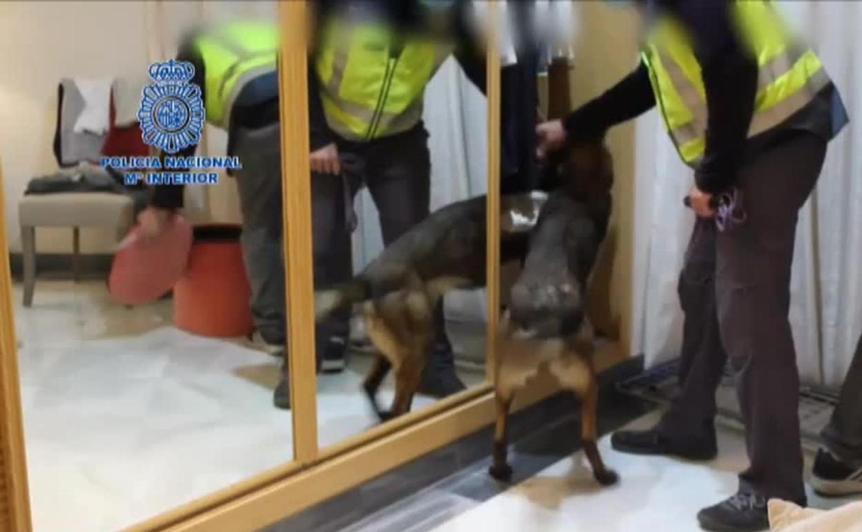 Operación Vitautas. 