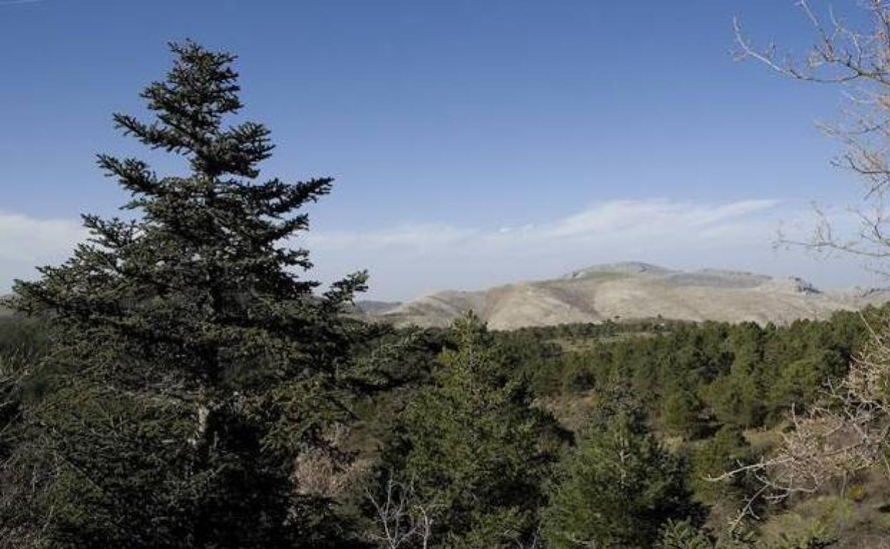 Foto de archivo de la Sierra de las Nieves.