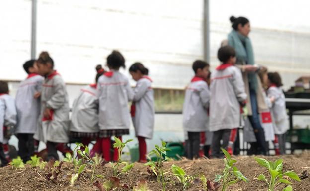 Explorar, experimentar, compartir, emocionar y aprender entre iguales; la clave de un Modelo de Educación Infantil Bilingüe centrado en el alumno