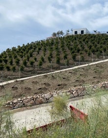 Imagen secundaria 2 - Arriba, instalaciones de Frutas Montosa, una de las mayores comercializadoras de la zona; debajo, a la izquieda, vista del embalse de La Viñuela, y a la derecha, nueva finca de aguacates en Torrox. 