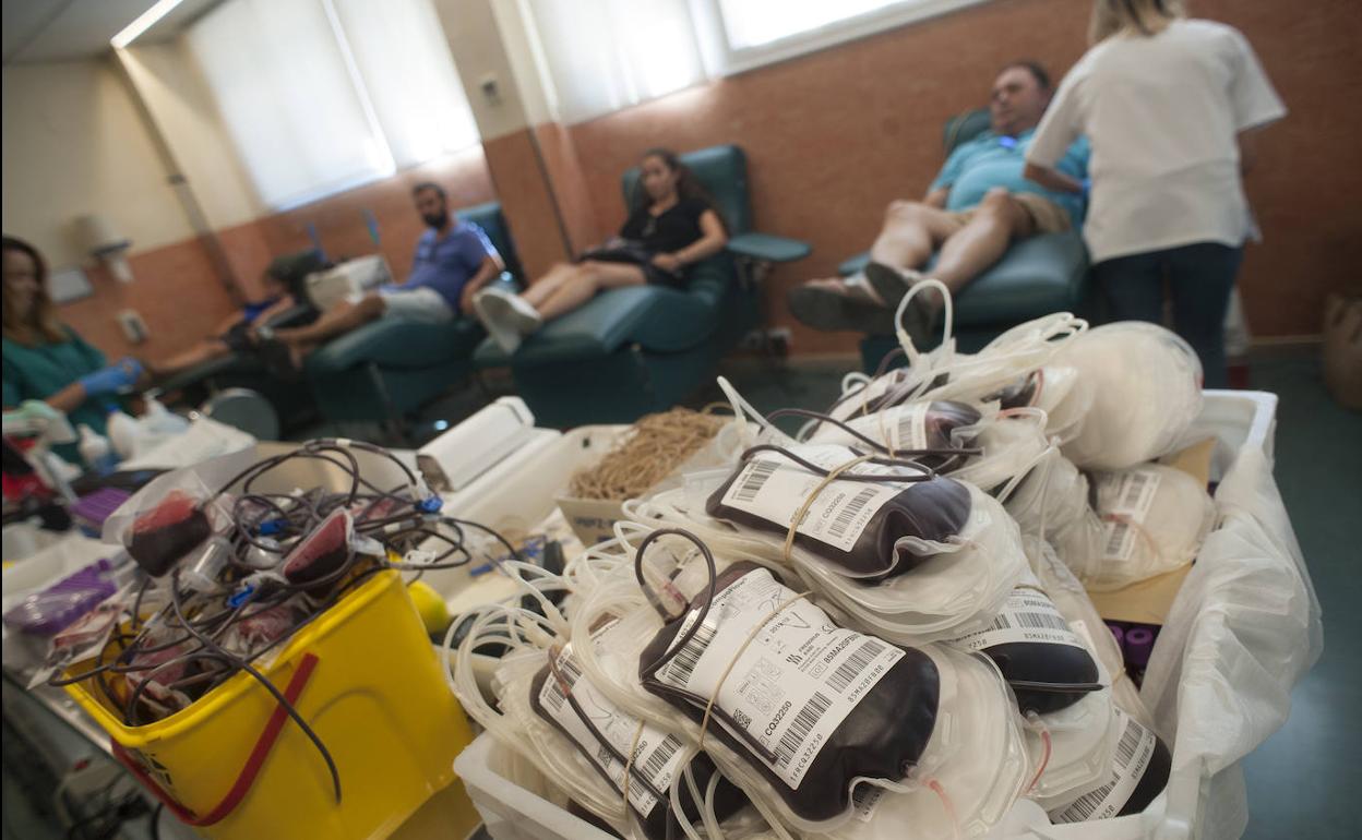 Málaga necesita 250 bolsas de sangre cada día. 