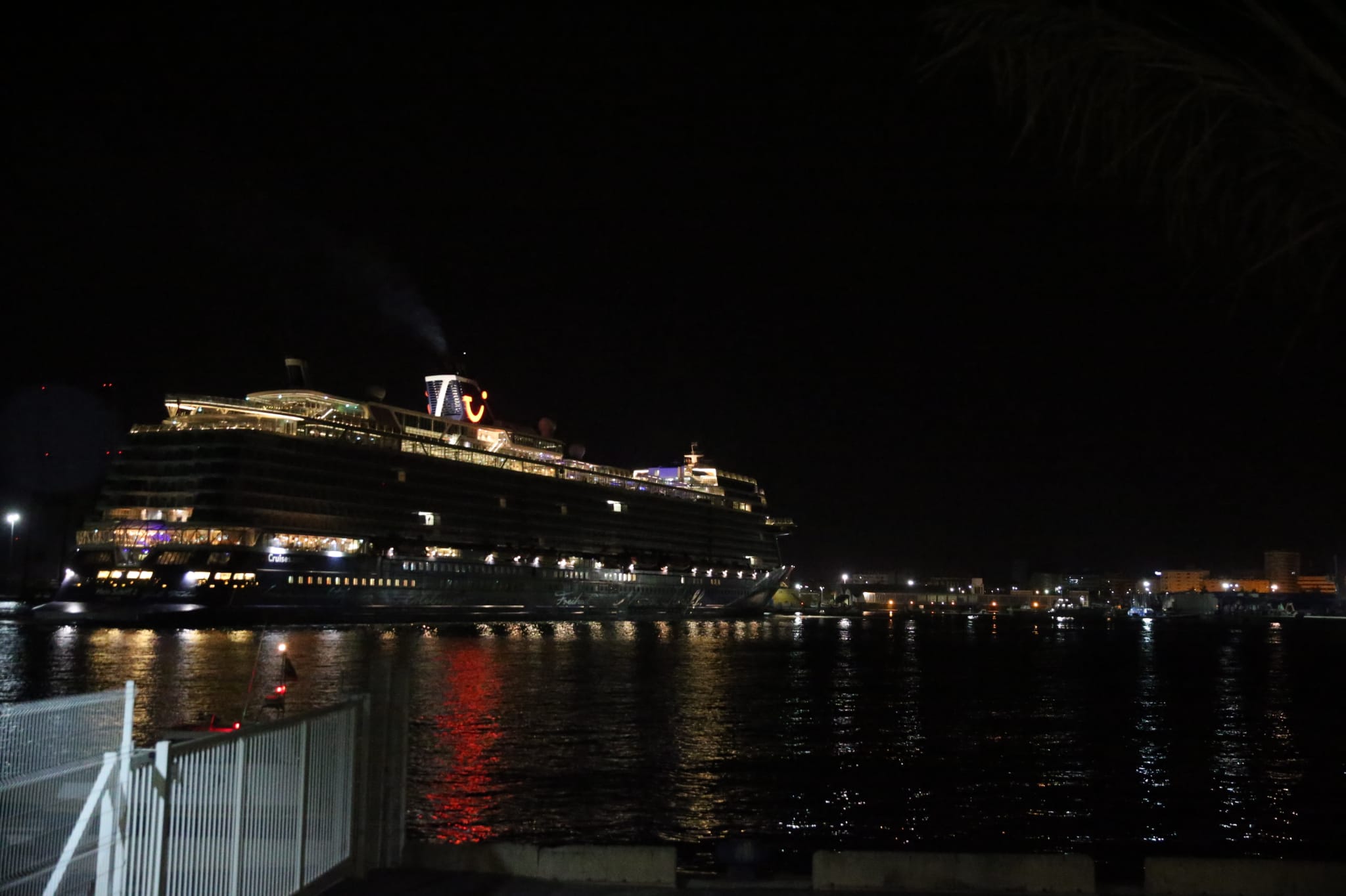 El barco ha llegado a la hora prevista, con un millar de pasajeros a bordo, y ha quedado amarrado junto a la terminal A del Puerto