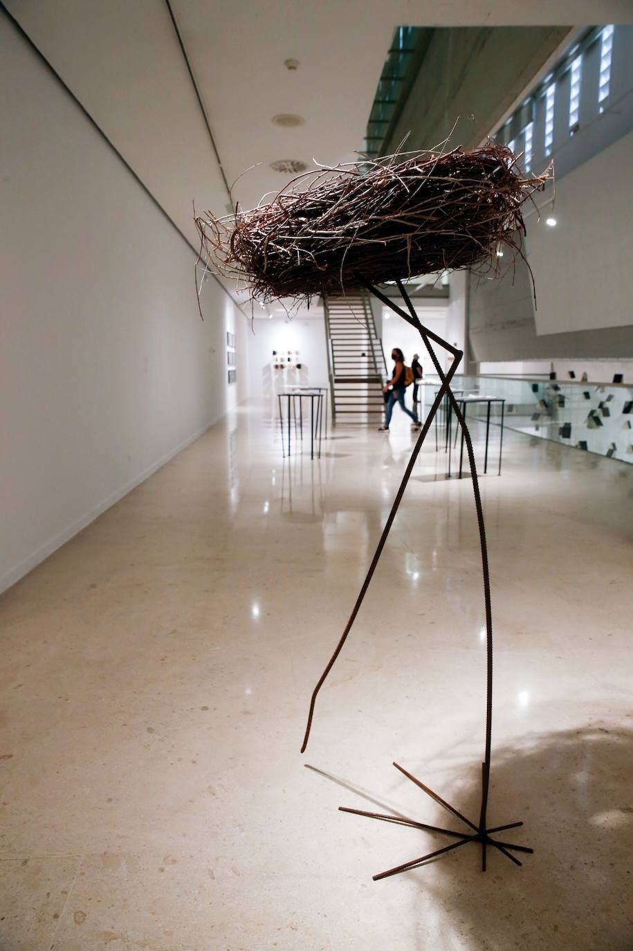 La exposición se titula 'Pax Natura' 