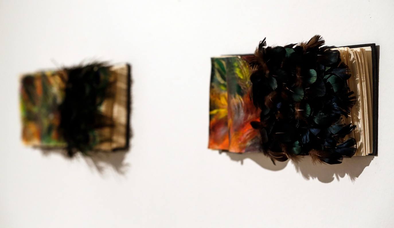 La exposición se titula 'Pax Natura' 
