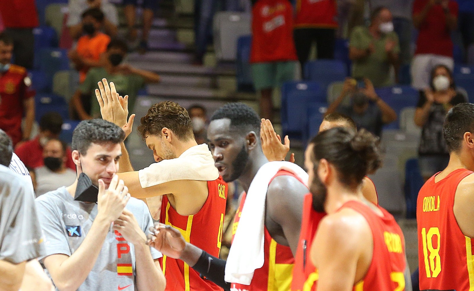 El Martín Carpena se convierte en talismán para una Selección con Pau Gasol como principal atractivo (86-77)