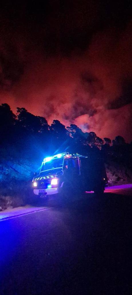 Las llamas se originaron la pasada madrugada en el carretera entre la localidad y Estepona, según el alcalde