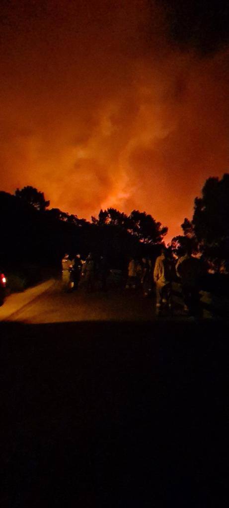Las llamas se originaron la pasada madrugada en el carretera entre la localidad y Estepona, según el alcalde