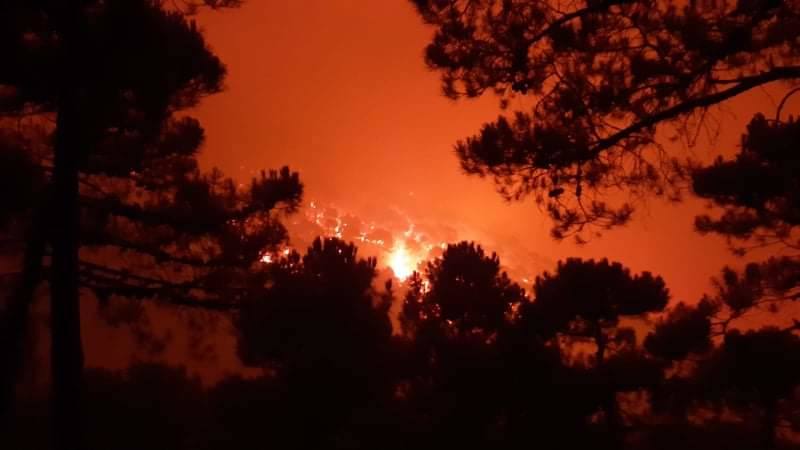 Las llamas se originaron la pasada madrugada en el carretera entre la localidad y Estepona, según el alcalde