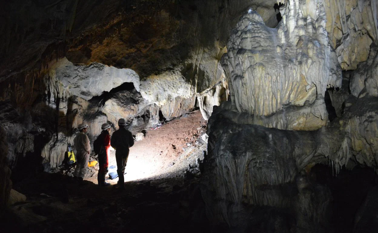Cueva de Ardales.