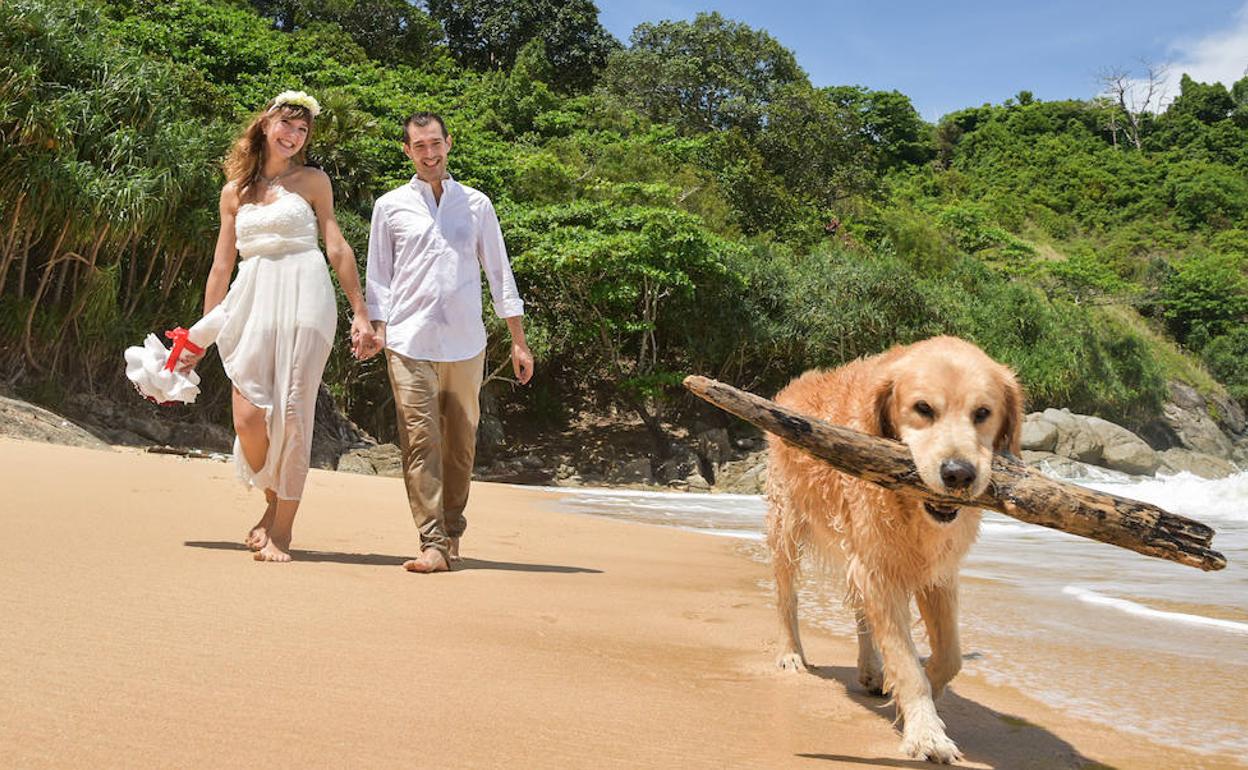 Meko fue un testigo excepcional en la boda de Javier y Lauranne en Tailandia. 